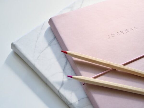 Photo by Jess Bailey Designs: https://www.pexels.com/photo/closeup-photo-of-journal-book-and-pencils-1018133/